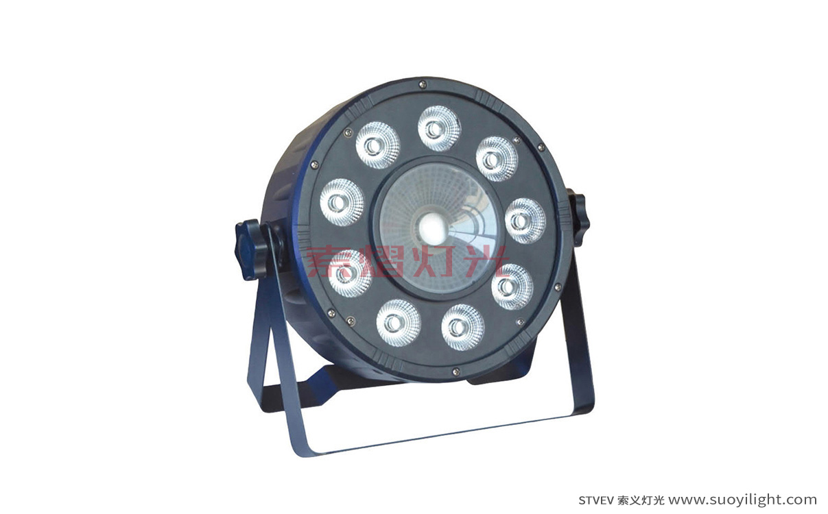 Moscow9+1 LED Plastic Par Light production