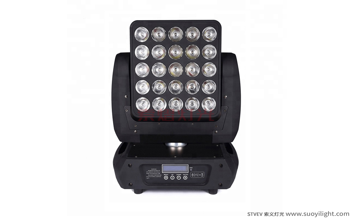 Moscow25pcs Matrix LED Light wholesale