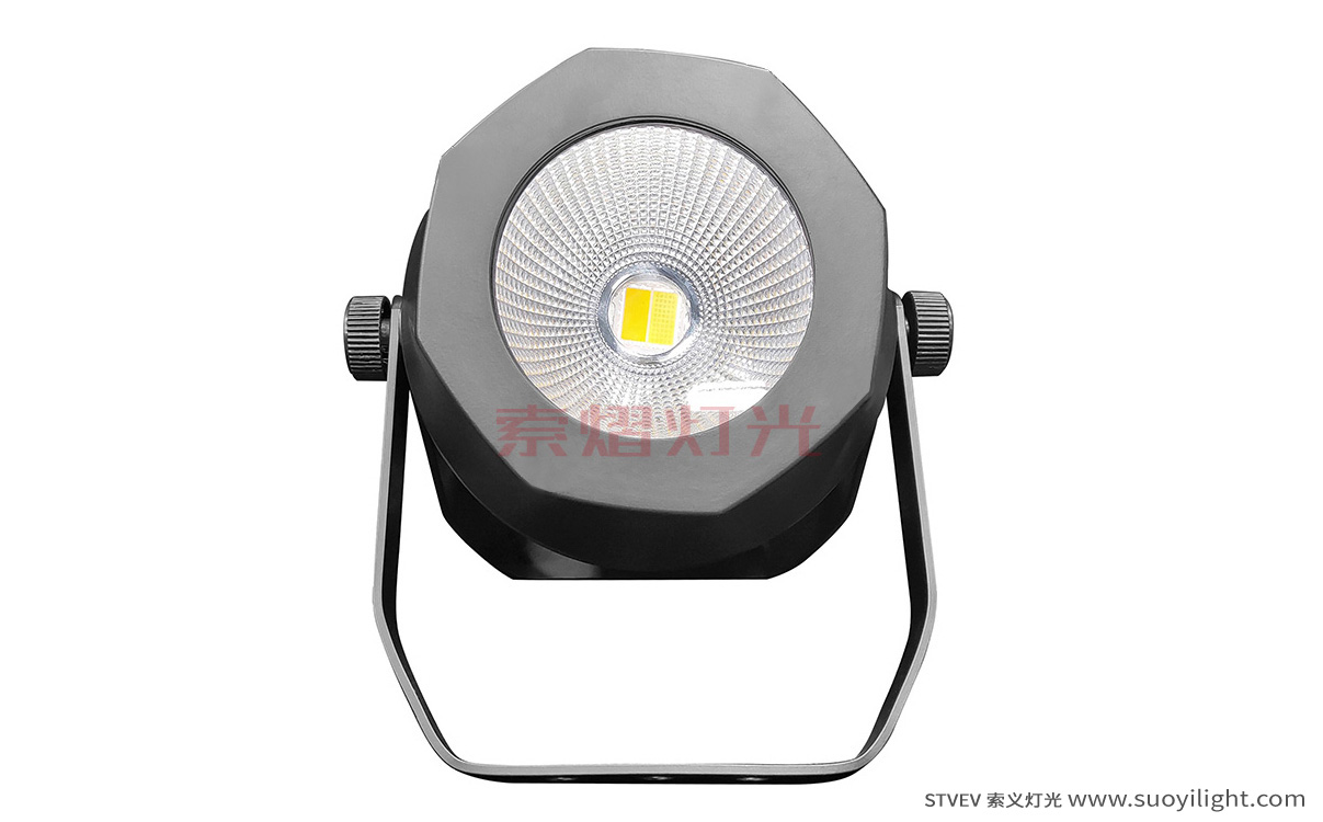 Moscow200W Waterproof COB Par Light quotation